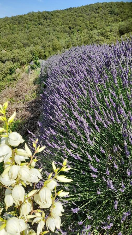 Rouretord Hirondelle Villa Gilhac-et-Bruzac Luaran gambar